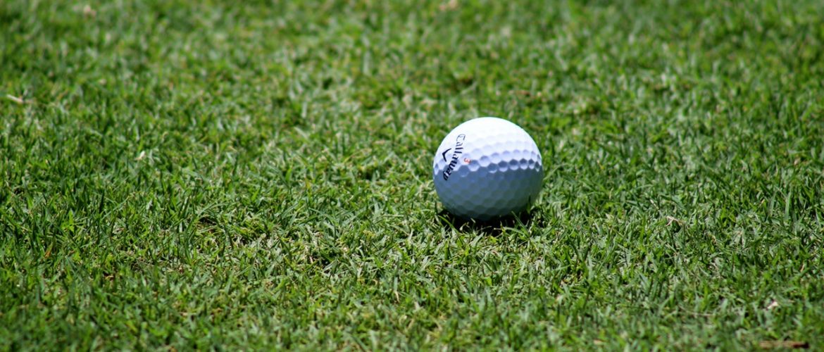 Golf Ball on Green